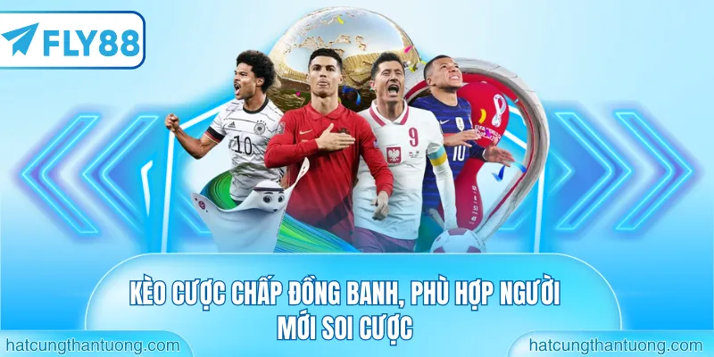 Kèo cược chấp đồng banh, phù hợp người mới soi cược